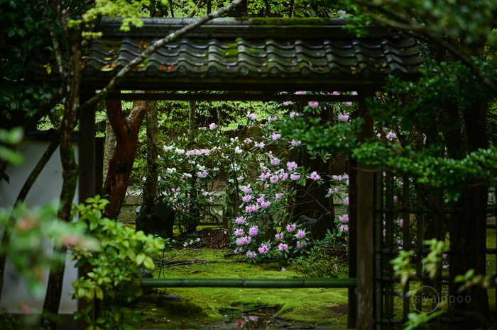 お写ん歩: SIGMA 30mm F1.4 DC DN | Contemporary for Zmountアーカイブ